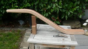 Pinne Delphia 31