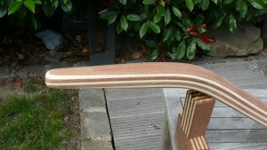 Pinne Delphia 31 -2