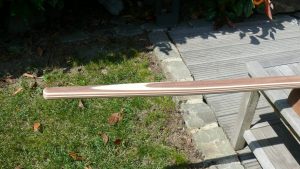 Pinne Kielzugvogel2