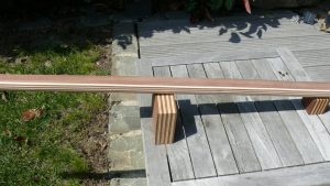 Pinne Kielzugvogel 4