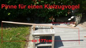 Pinne Kielzugvogel bemasst