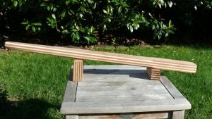 Pinne Botnia NF 30