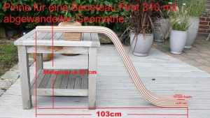 Pinne First 310 Version 2 bemasst
