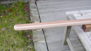 Pinne für einen Schwertzugvogel -2
